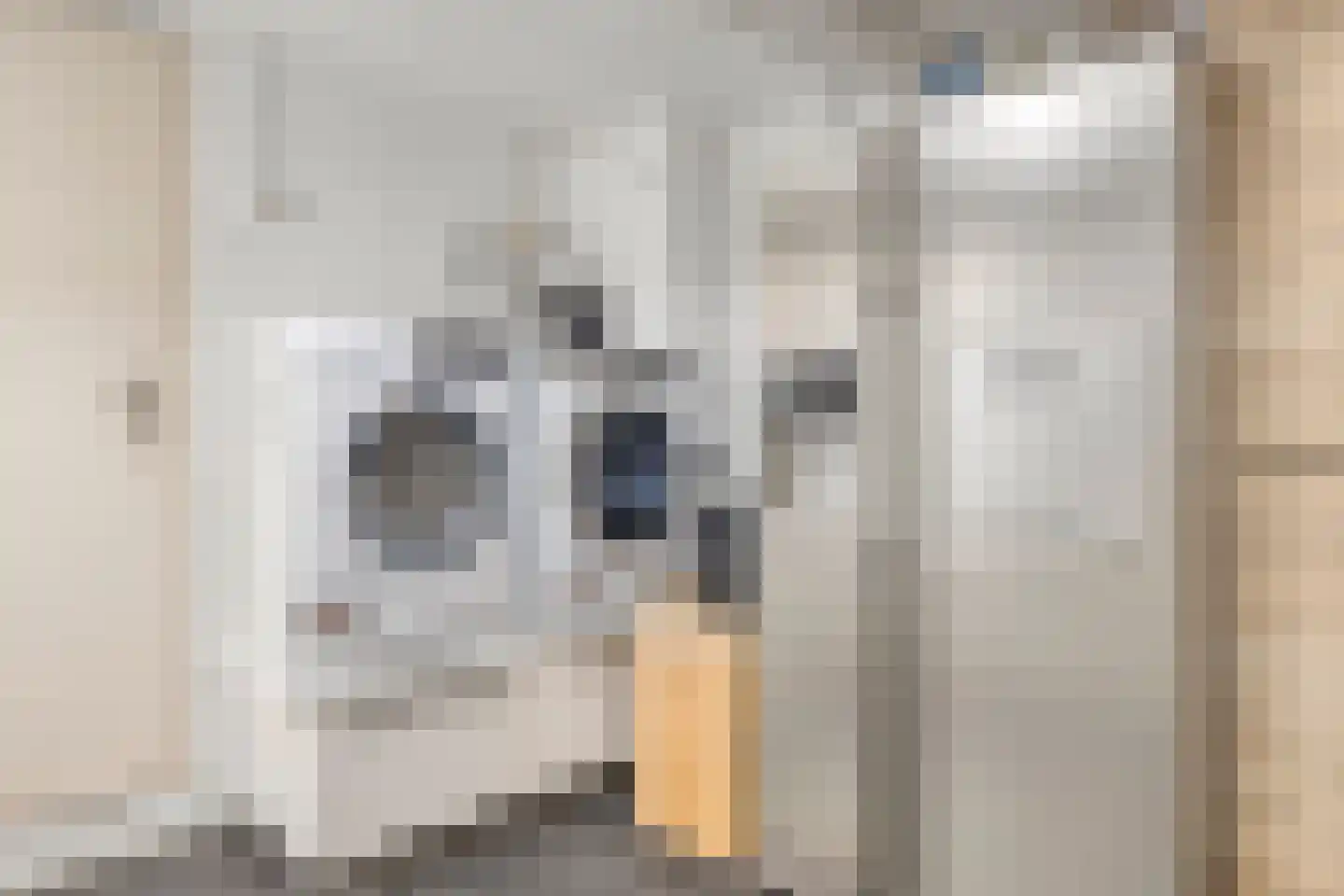 Buntlaar 23 Terheijden thumbnail 50