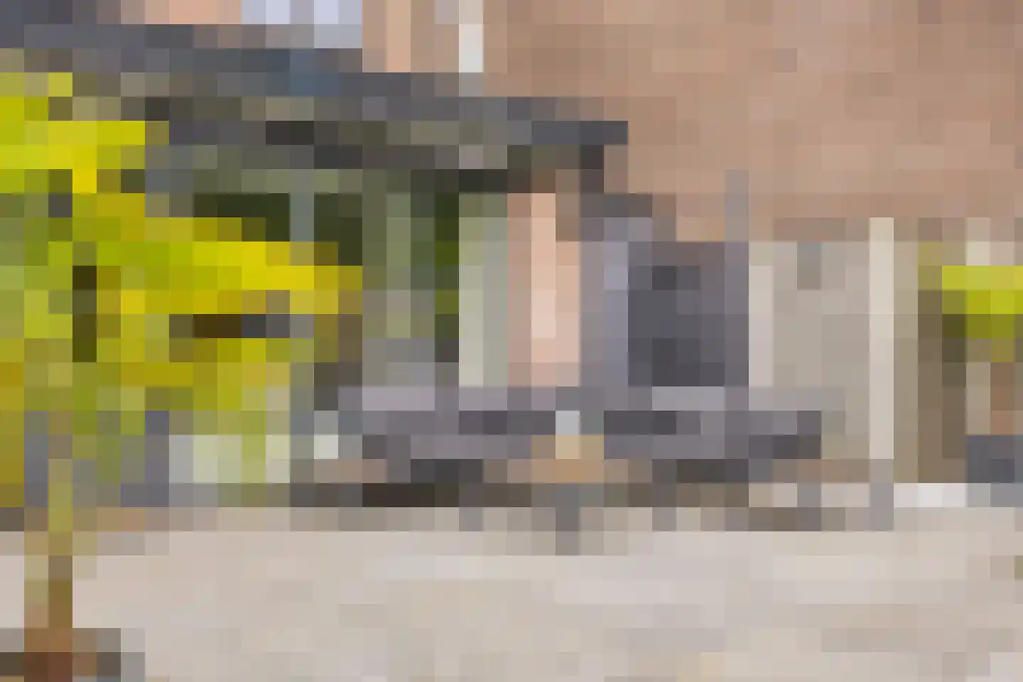 Buntlaar 23 Terheijden thumbnail 51
