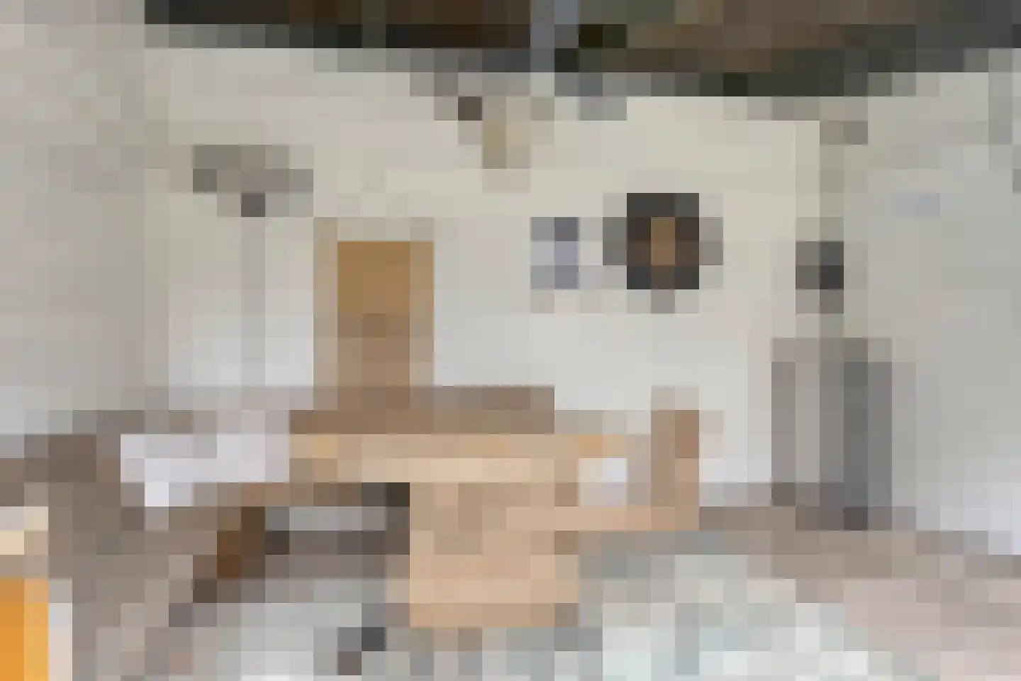 Buntlaar 23 Terheijden thumbnail 57