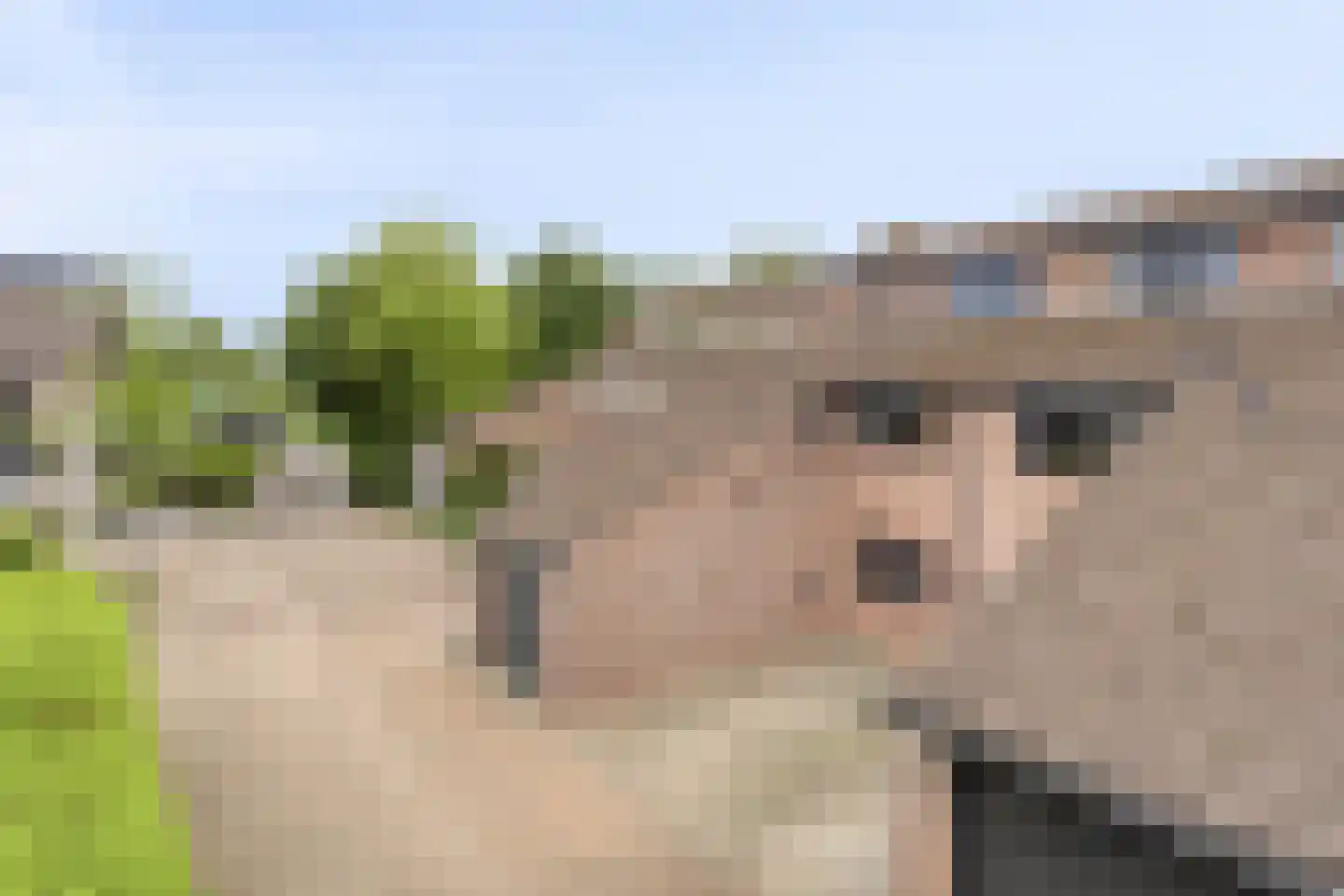 Buntlaar 23 Terheijden thumbnail 65