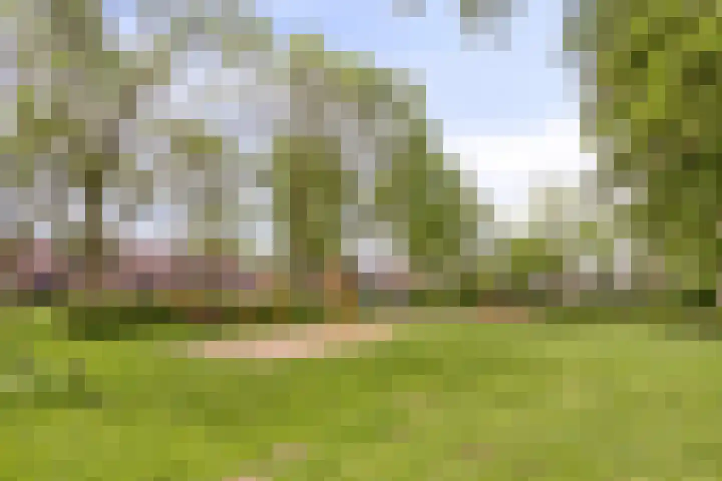 Buntlaar 23 Terheijden thumbnail 66