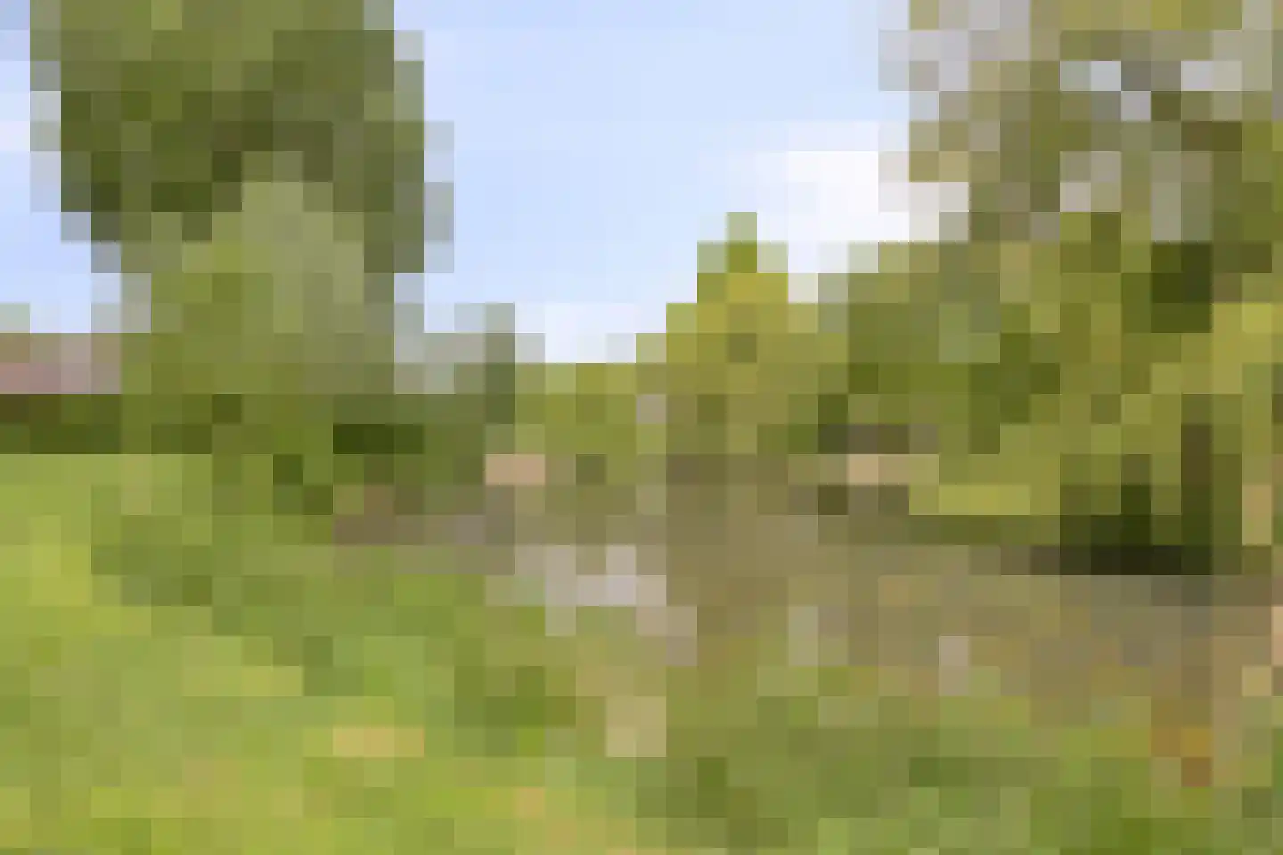 Buntlaar 23 Terheijden thumbnail 68