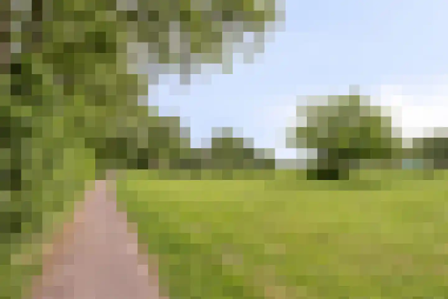 Buntlaar 23 Terheijden thumbnail 69