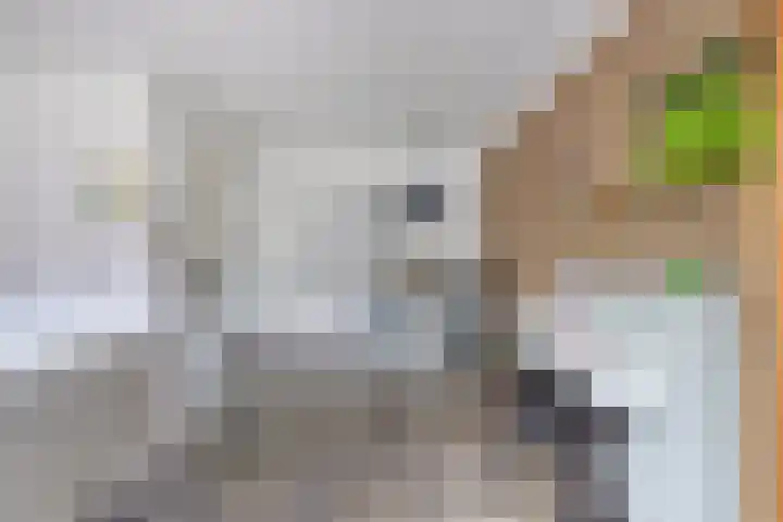 Buntlaar 24 Terheijden thumbnail 10