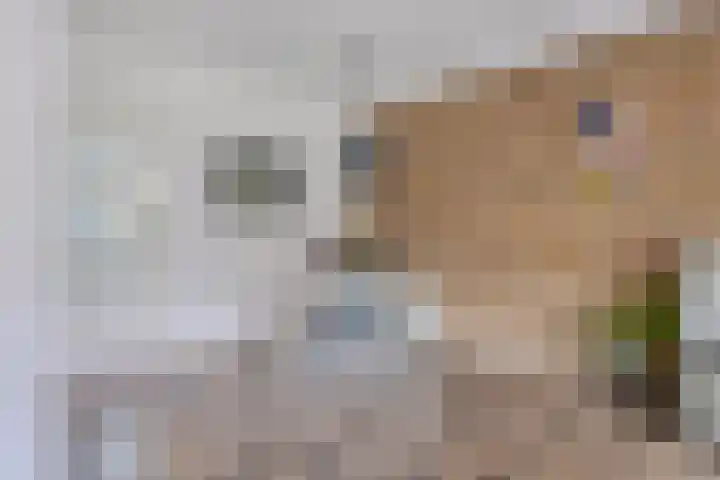 Buntlaar 24 Terheijden thumbnail 11
