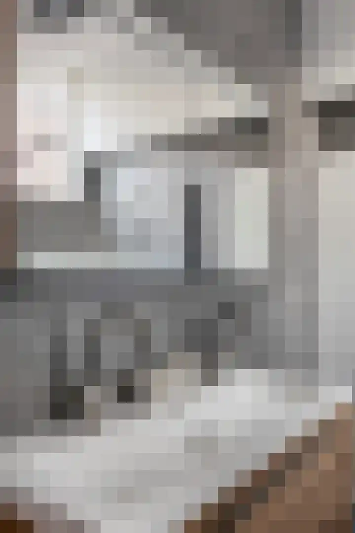 Buntlaar 24 Terheijden thumbnail 25