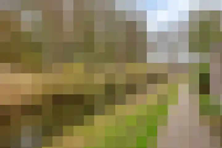 Buntlaar 24 Terheijden thumbnail 35