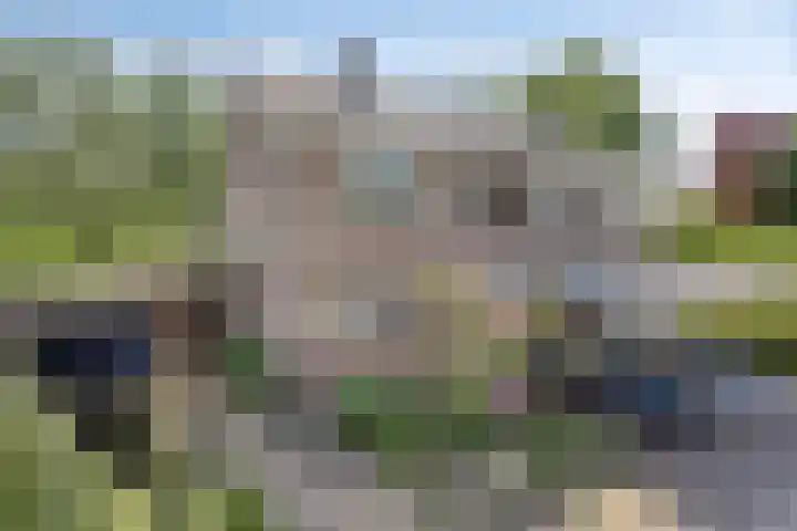 Buntlaar 31 Terheijden