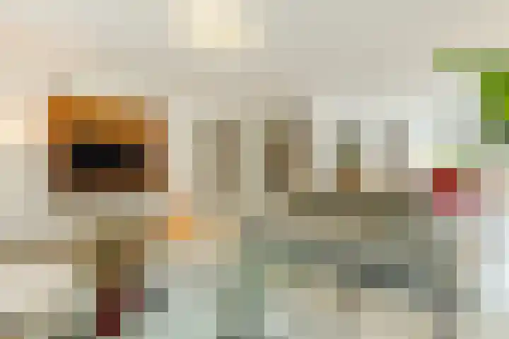 Buntvelden 6 Best thumbnail 11