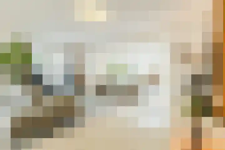 Buntvelden 6 Best thumbnail 12