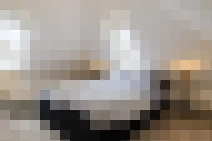 Buntvelden 6 Best thumbnail 25