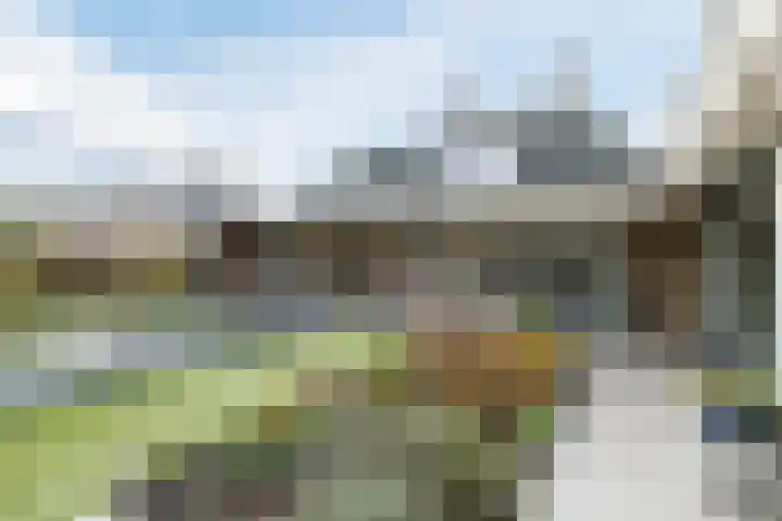 Buntvelden 6 Best thumbnail 37