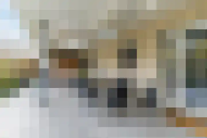 Buntvelden 6 Best thumbnail 38