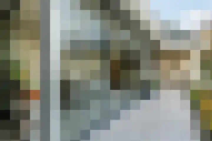 Buntvelden 6 Best thumbnail 39