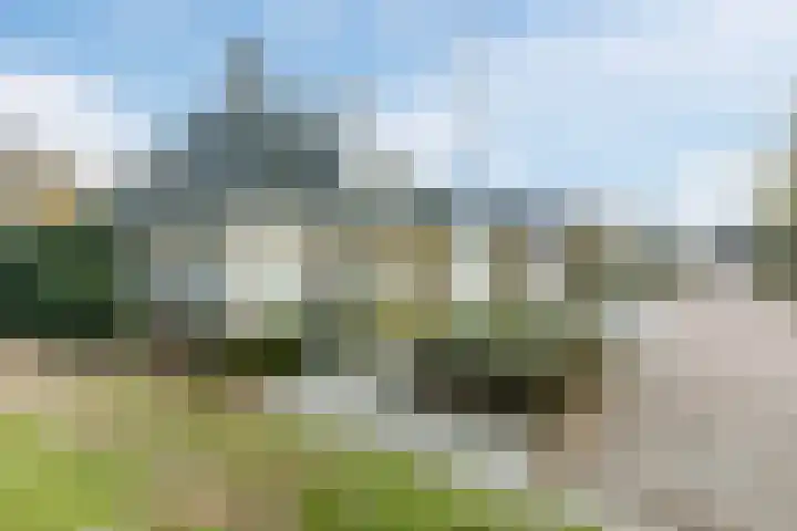 Buntvelden 6 Best thumbnail 41