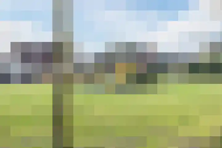 Buntvelden 6 Best thumbnail 42