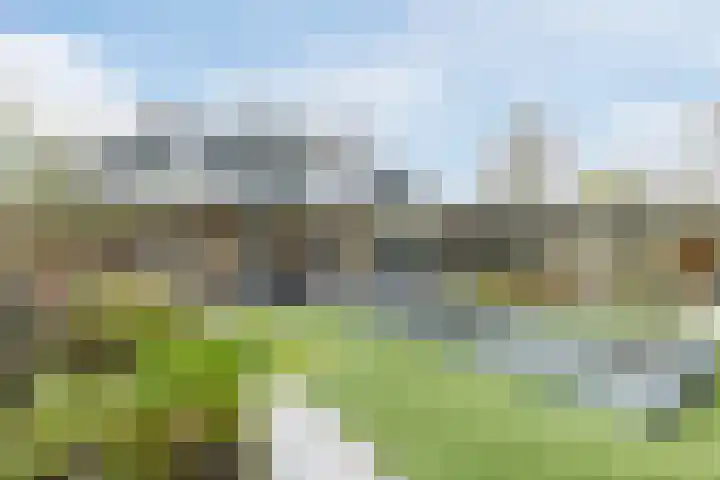 Buntvelden 6 Best thumbnail 5