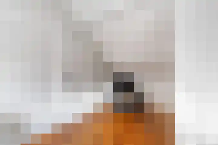 Buntwal 1 Nijkerkerveen thumbnail 22