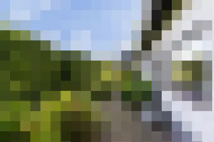 Buntwal 1 Nijkerkerveen thumbnail 28