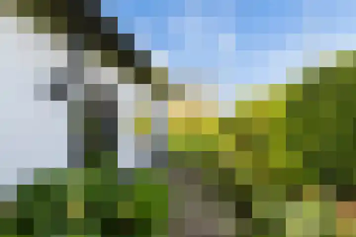 Buntwal 1 Nijkerkerveen thumbnail 29