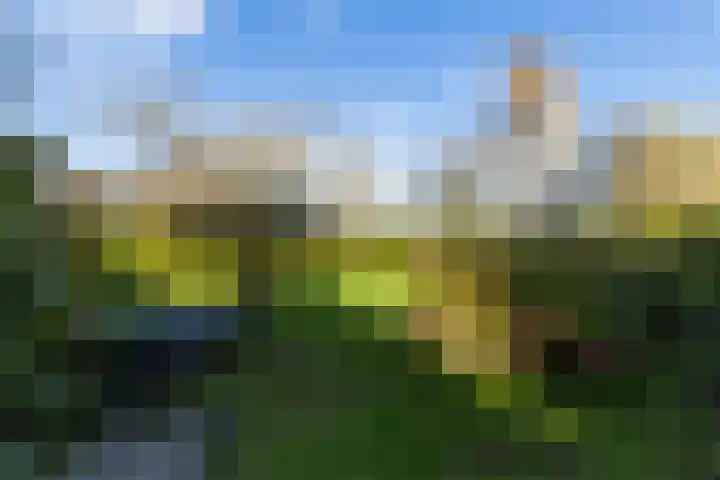Buntwal 1 Nijkerkerveen thumbnail 30