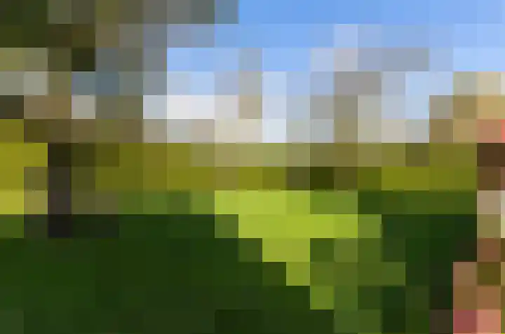 Buntwal 1 Nijkerkerveen thumbnail 31