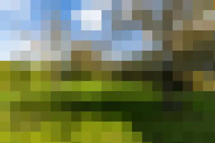 Buntwal 1 Nijkerkerveen thumbnail 32