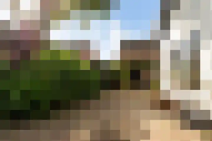 Buntwal 1 Nijkerkerveen thumbnail 33