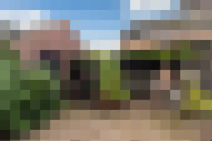 Buntwal 1 Nijkerkerveen thumbnail 34