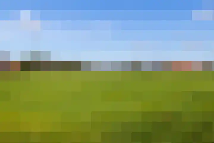 Buntwal 1 Nijkerkerveen thumbnail 36