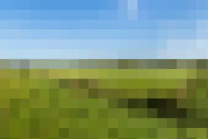 Buntwal 1 Nijkerkerveen thumbnail 37
