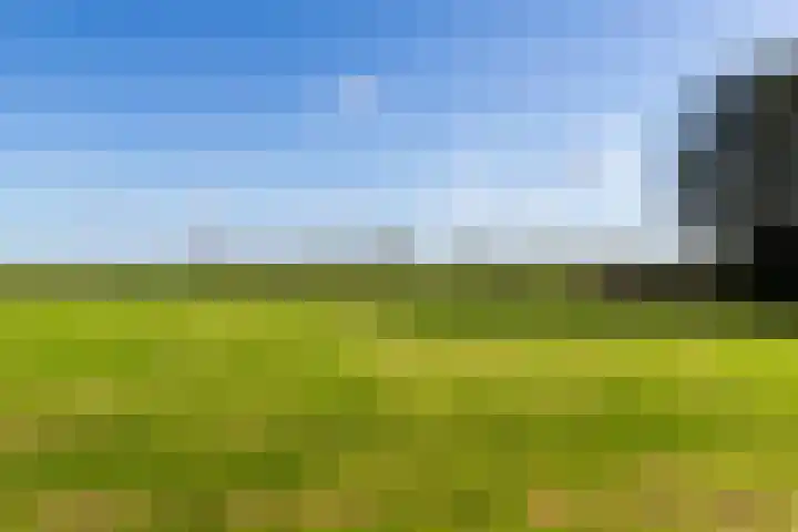 Buntwal 1 Nijkerkerveen thumbnail 38