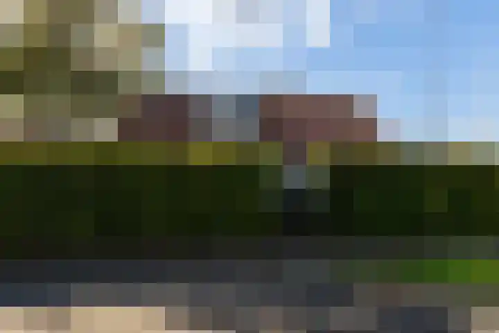Buntwal 1 Nijkerkerveen thumbnail 39