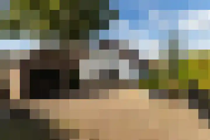 Buntwal 1 Nijkerkerveen thumbnail 4