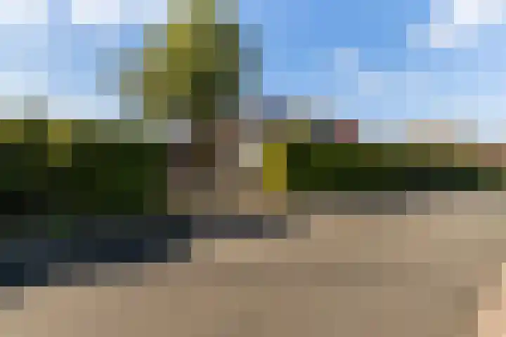 Buntwal 1 Nijkerkerveen thumbnail 40