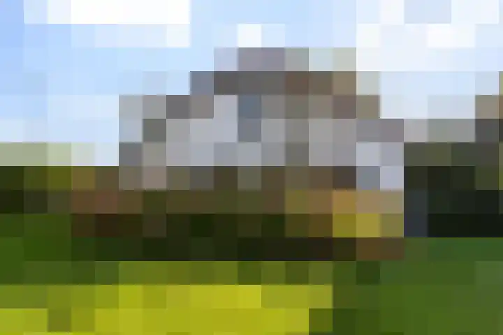 Buntwal 1 Nijkerkerveen thumbnail 41