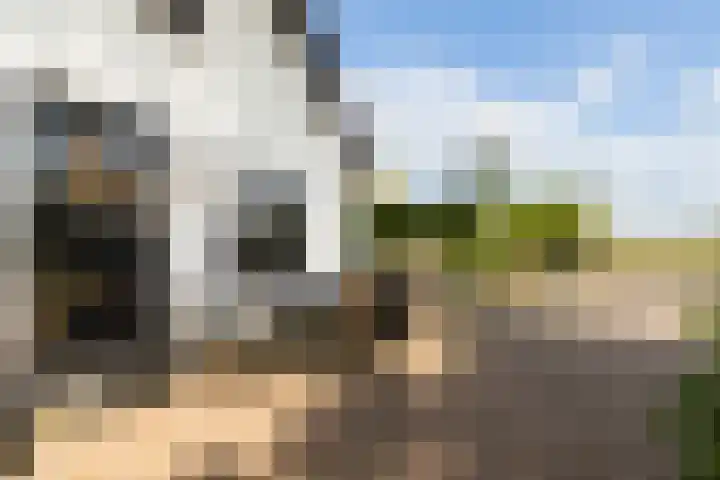Buntwal 1 Nijkerkerveen thumbnail 5