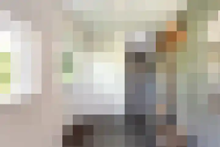 Buntwal 1 Nijkerkerveen thumbnail 6