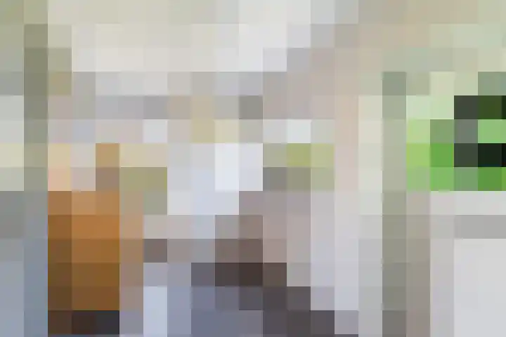 Buntwal 1 Nijkerkerveen thumbnail 7
