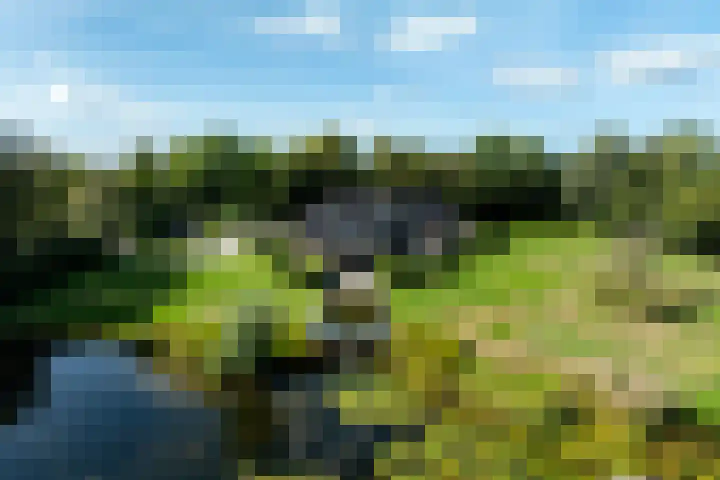 Buntwal 18 Nijkerkerveen thumbnail 56
