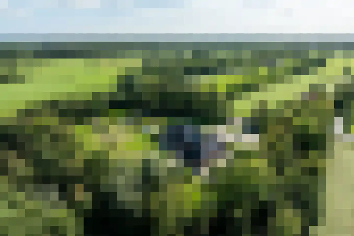 Buntwal 18 Nijkerkerveen thumbnail 58