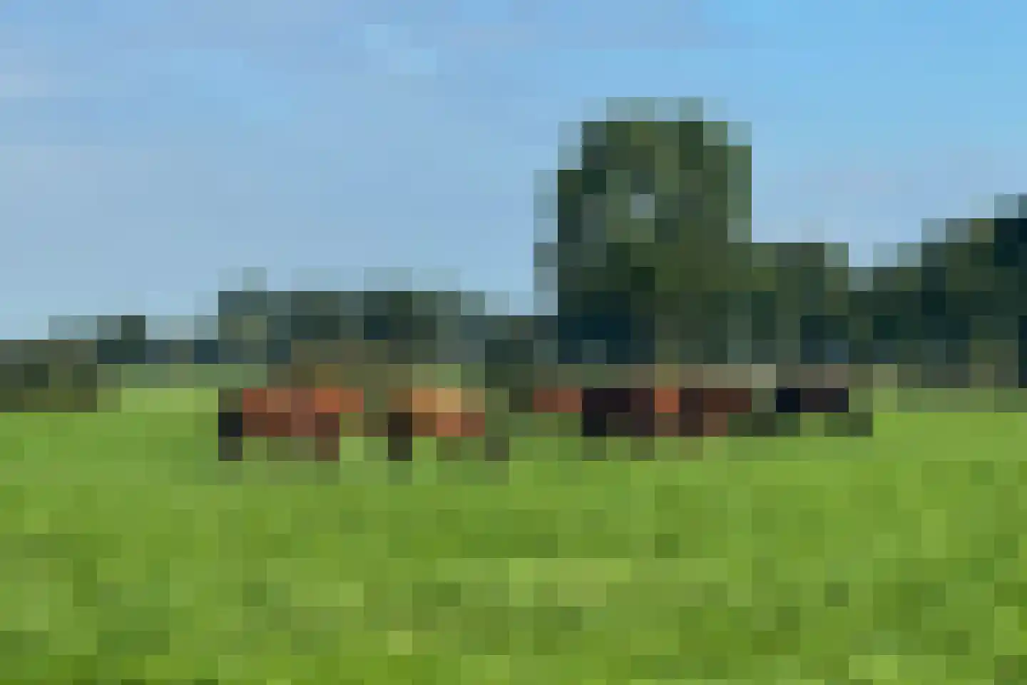 Buntwal 18 Nijkerkerveen thumbnail 60