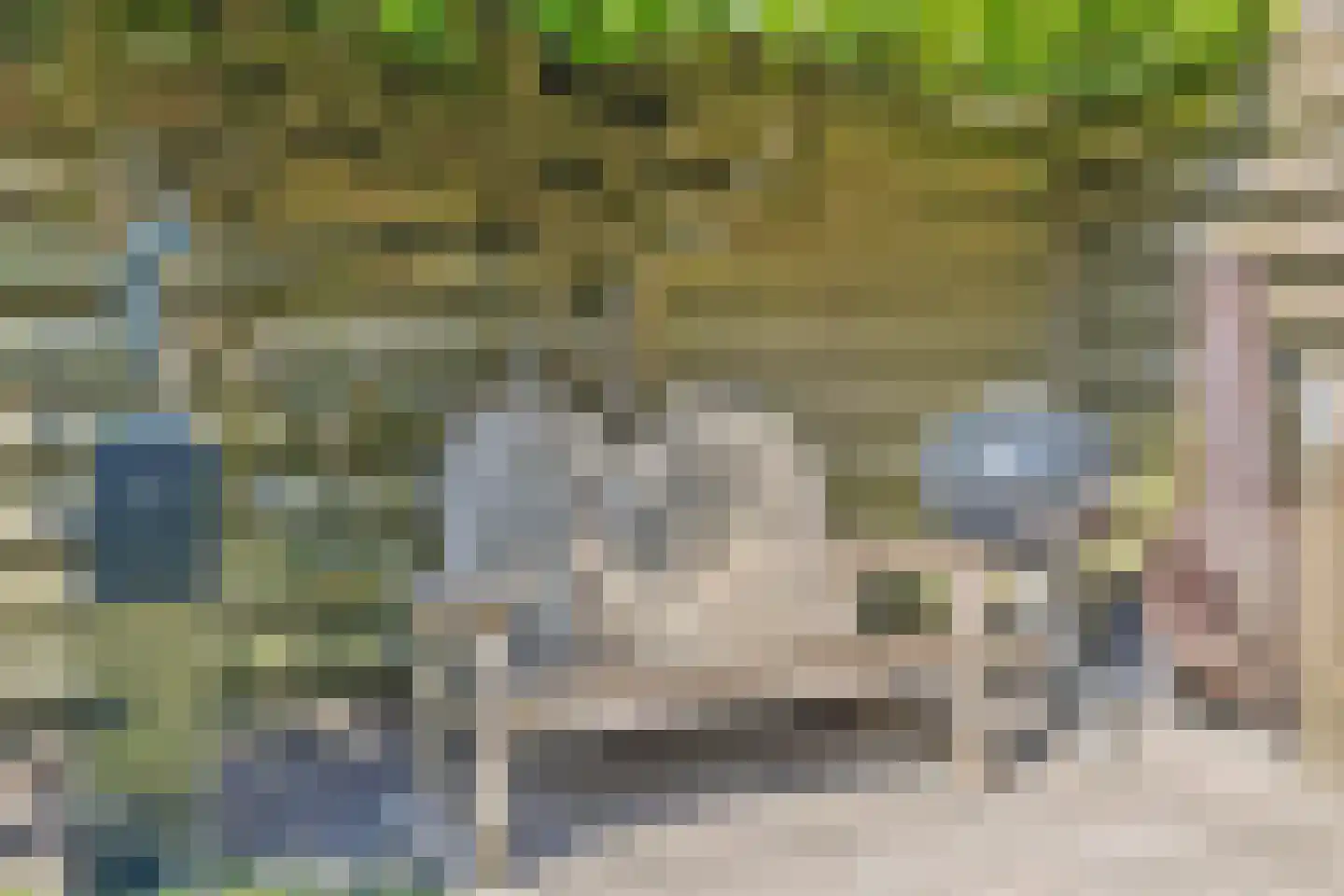 Buntweg 31 Soest thumbnail 38