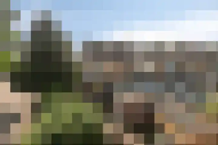 Buntweg 43 Soest thumbnail 24