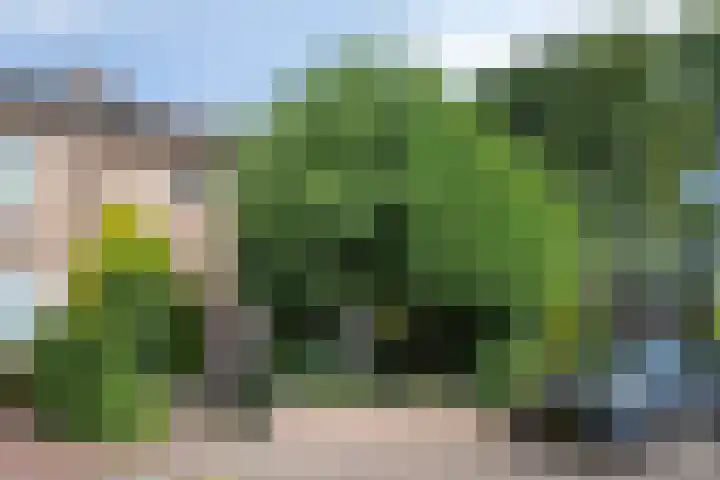 Buntweg 43 Soest thumbnail 29