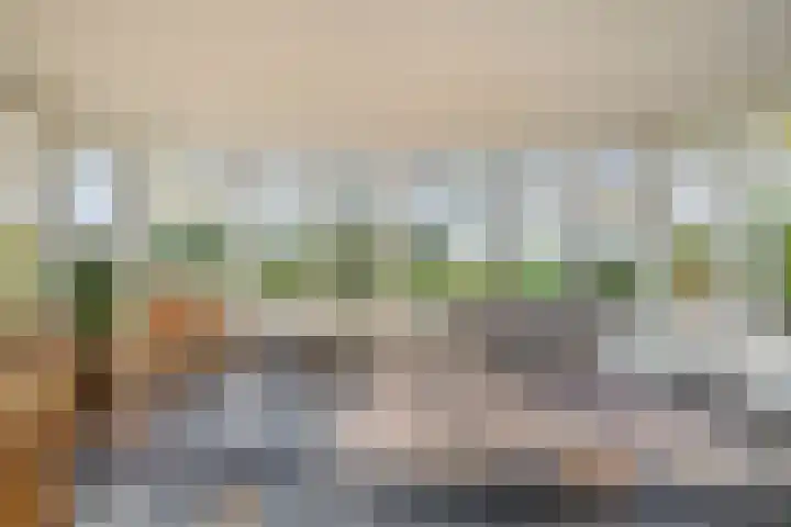 Buntweg 5 Schijndel thumbnail 11