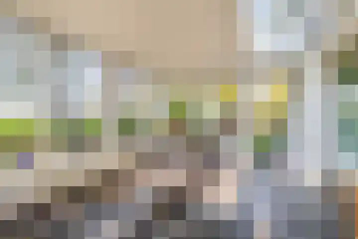 Buntweg 5 Schijndel thumbnail 12