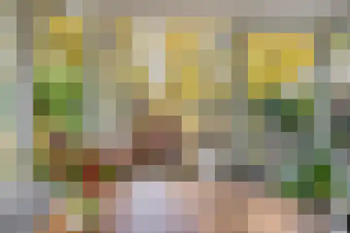 Buntweg 5 Schijndel thumbnail 14