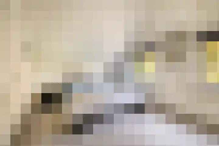 Buntweg 5 Schijndel thumbnail 24