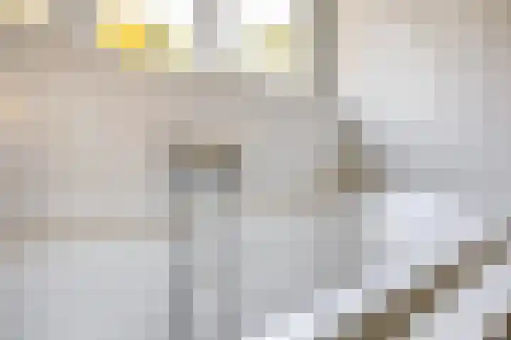 Buntweg 5 Schijndel thumbnail 32